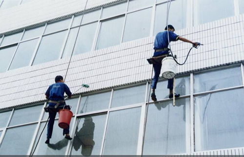 汉阳高空外墙清洗首选 山猫清洁，守护城市建筑洁净与安全
